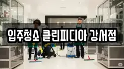 입주청소 클린피디아 강서점