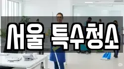 서울 특수청소