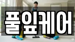 풀잎케어
