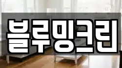 블루밍크린