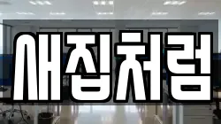 새집처럼