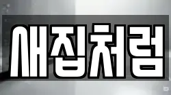 새집처럼