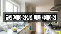 금천구에어컨청소 에어백에어컨