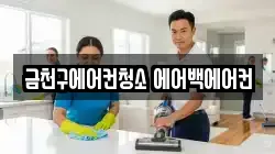 금천구에어컨청소 에어백에어컨