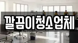 깔끔이청소업체