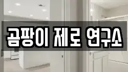 곰팡이 제로 연구소