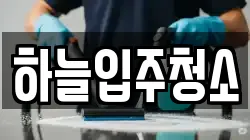 하늘입주청소