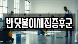 반딧불이새집증후군