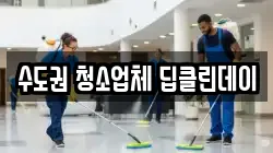 수도권 청소업체 딥클린데이