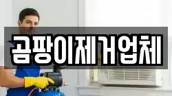 곰팡이제거업체
