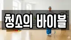 청소의 바이블