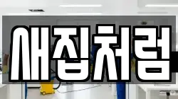 새집처럼