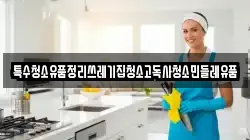 특수청소유품정리쓰레기집청소고독사청소민들레유품