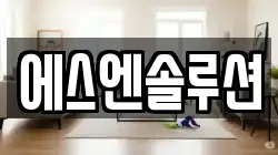 에스엔솔루션