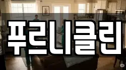 푸르니클린