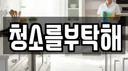 청소를부탁해