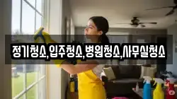 정기청소,입주청소,병원청소,사무실청소