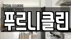 푸르니클린