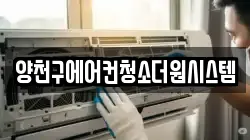 서울 마포구 하중동 청소,입주청소,사무실청소,에어컨청소,특수청소,상가청소,거주청소,유품정리