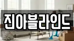 진아블라인드