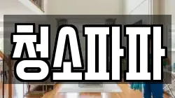 청소파파
