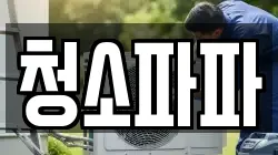 청소파파