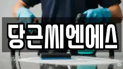 당근씨엔에스