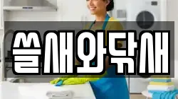 쓸새와닦새