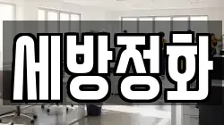 세방정화