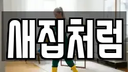 새집처럼