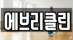 에브리클린