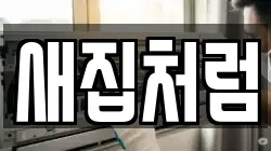 새집처럼