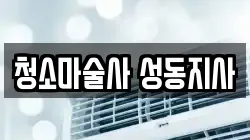 청소마술사 성동지사