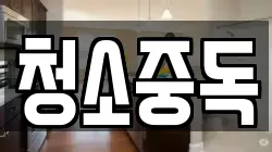 청소중독