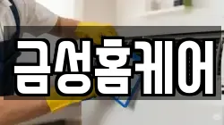 금성홈케어