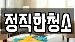 정직한청소