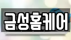 금성홈케어