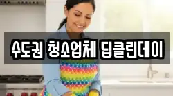 수도권 청소업체 딥클린데이
