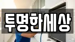 투명한세상