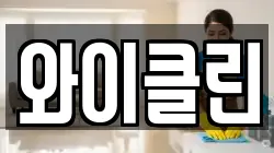 와이클린