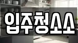입주청소소