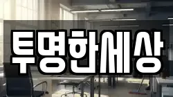 투명한세상