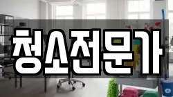 청소전문가