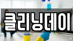 클리닝데이