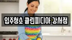 입주청소 클린피디아 강서점
