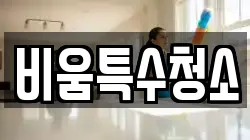 비움특수청소