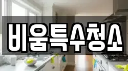 비움특수청소