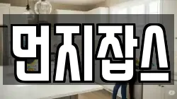 먼지잡스