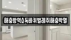 해충방역소독바퀴벌레쥐해충박멸
