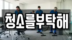 청소를부탁해